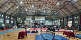 gimnastas