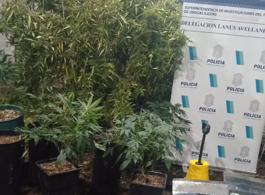 Allanamiento y detención: tenía 8 kilos de marihuana