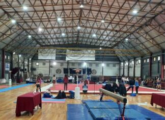 gimnastas